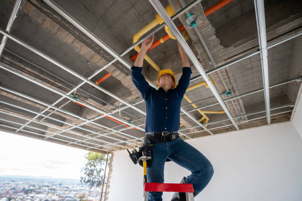 Best Best Plumbers Near Me  in La Fayette, AL
