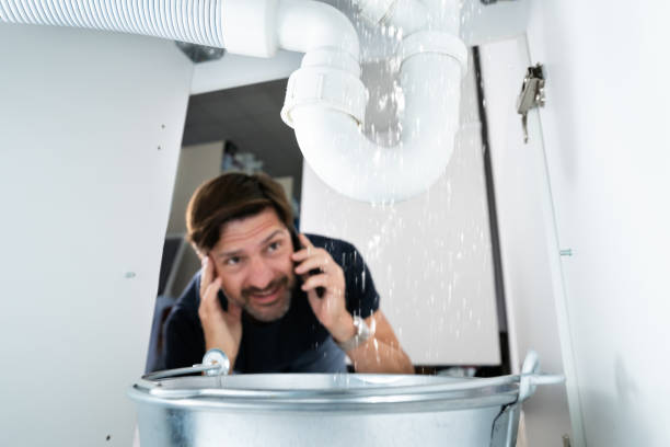 Best Gas Line Repair  in La Fayette, AL